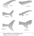 Free Free 234 Shark Tail Svg SVG PNG EPS DXF File