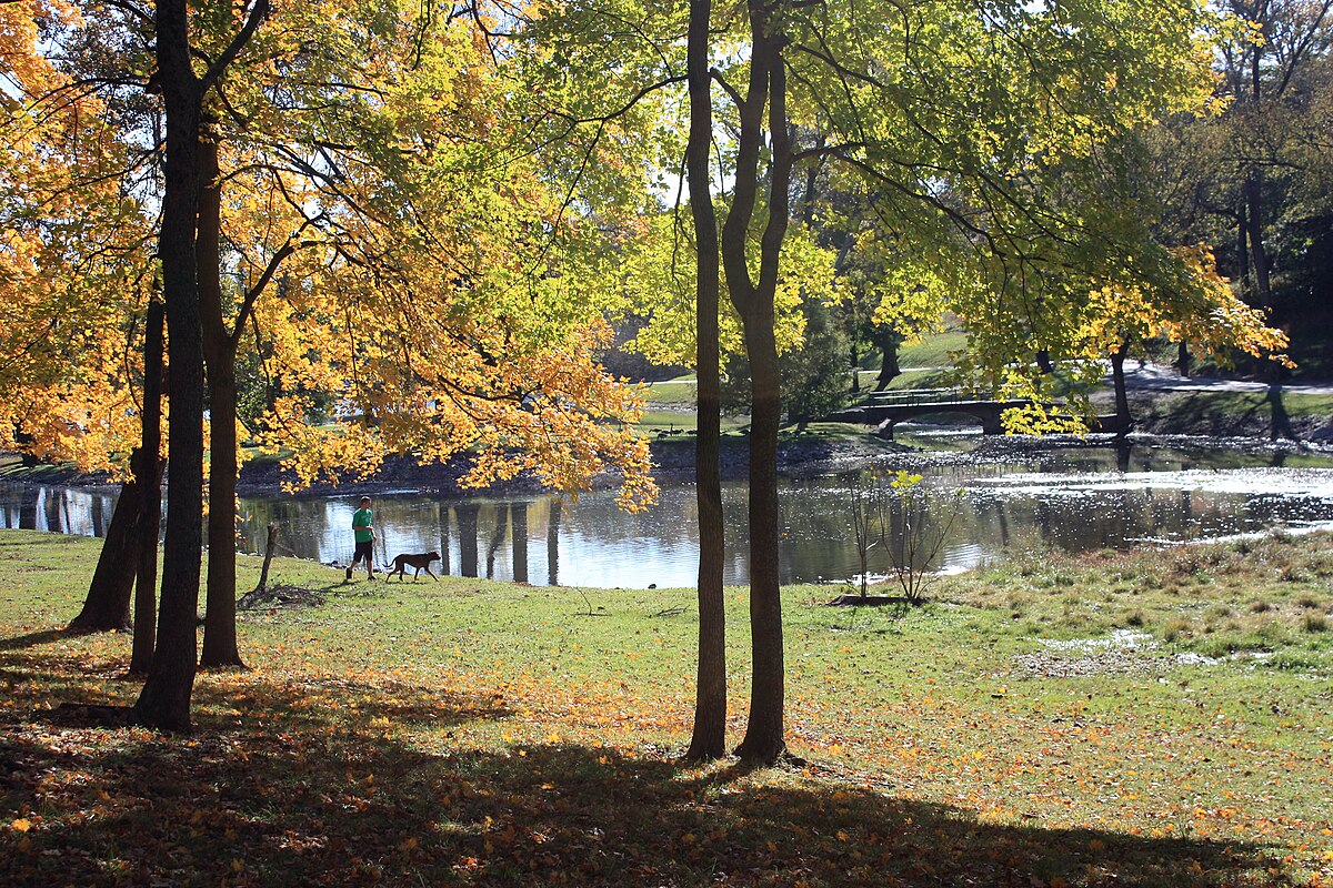 Находятся в парке 30. Парк Шелби. Парк Дэвидсон. Осень в Нашвилле. Geodis Park Nashville.