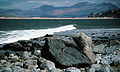 Shell Island view 1985.jpg