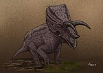 Thumbnail for Sierraceratops