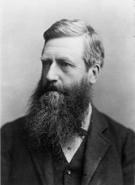 Sir Harry Albert Atkinson, ca 1885.jpg
