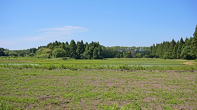 椿台の大会戦