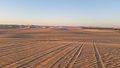 Siwa Oasis dunes.jpg