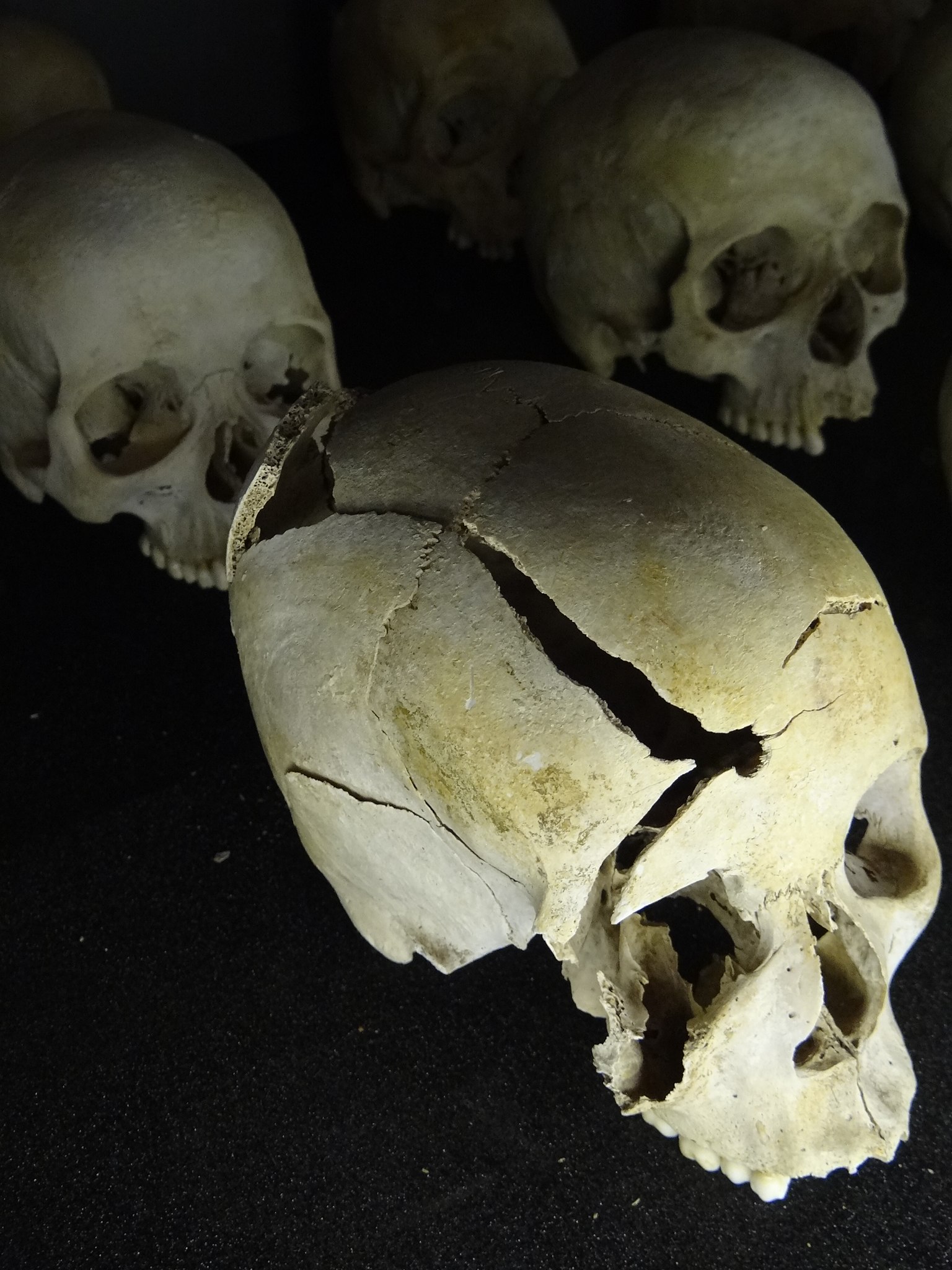 File:Skulls of Genocide Victims - Genocide Memorial Center - Kigali - Rwanda - 01.jpg - Simple English Wikipedia, the free encyclopedia