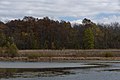 * Nomination Slate Run Wetlands -- Sixflashphoto 03:18, 9 November 2017 (UTC) * Promotion Stunning results from the projects. Good quality. -- Johann Jaritz 03:26, 9 November 2017 (UTC)