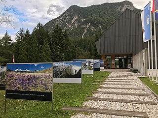 <span class="mw-page-title-main">Slovenian Alpine Museum</span> Mountaineering museum in Mojstrana, Slovenia