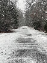 Snowy Bare Cove Path.jpg