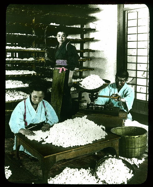 File:Sorting and Weighing Cocoons (19327363604).jpg