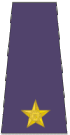 South African Air Force OF-1a (1994-2002).gif
