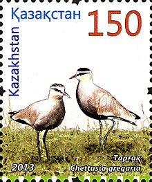 Stamps of Kazakhstan, 2013-60.jpg