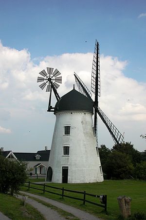 Mølle: Typer, Historie, Danske møller