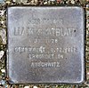 Stolperstein Regensburger Str 33 (Schön) Lia Muskatblatt.jpg