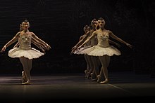 Swan Lake in 2013 Swan lake ballet at SODRE.jpg