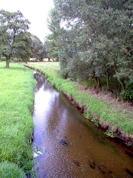 File:Szalonka - rzeka Pomianka.jpg