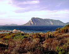 L'isola di Tavolara vista da Cala Ginepro.