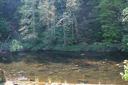 The River Coquet at Brinkburn Priory - geograph.org.uk - 3005294
