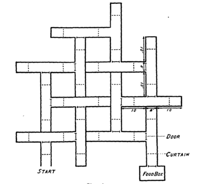 COGNITIVE MAPS IN RATS AND MEN