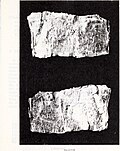 Thumbnail for File:Transactions of the Shropshire Archaeological and Natural History Society (1905) (14591346278).jpg