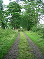 The old driveway that led to Trearne House.