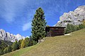 * Nomination A haybarn and swiss pine tree (pinus cembra) with the Odles group and the Stevia mountain, Puez-Geisler Nature Park, Dolomites UNESCO World Heritage Site. --Moroder 06:00, 24 October 2017 (UTC) * Promotion Nice.--Famberhorst 06:07, 24 October 2017 (UTC)