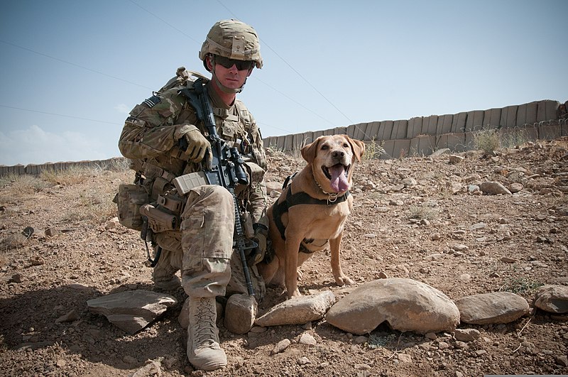 File:U.S. Army Pfc. John Casey, a military dog handler assigned to the 4th Infantry Brigade Combat Team, 1st Infantry Division, poses for the camera with his partner, Roxy, at the conclusion of their training 120810-A-IS500-849.jpg