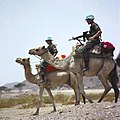 Birleşmiş Milletler Güçleri Eritre-Etiyopya sınırında. (2005)