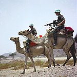エリトリアで活動するPKFの騎馬隊員 (2005年)