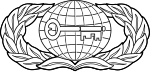 Basic Intelligence Badge