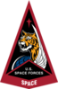 United States Space Forces - Space United States Space Forces - Space emblem.png