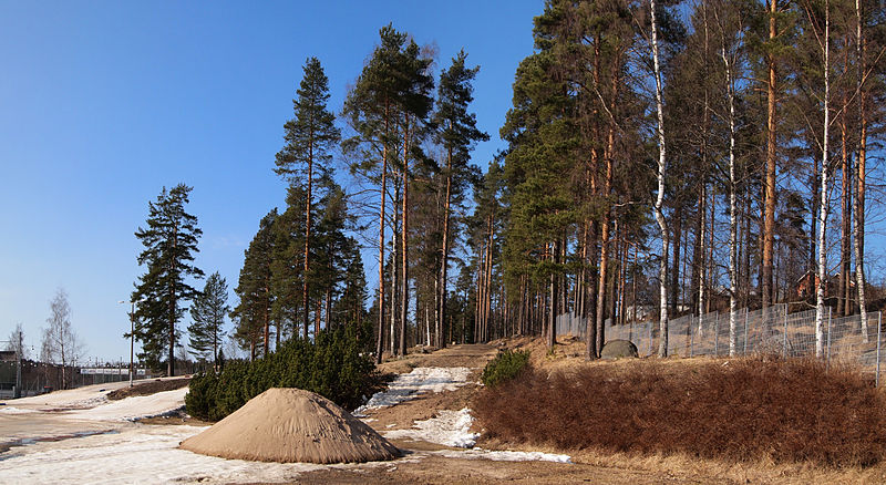 File:Vaajakoski trees.jpg