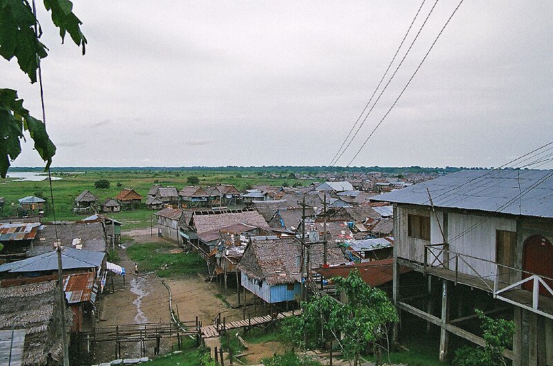 File:Venice of the Amazon.jpg