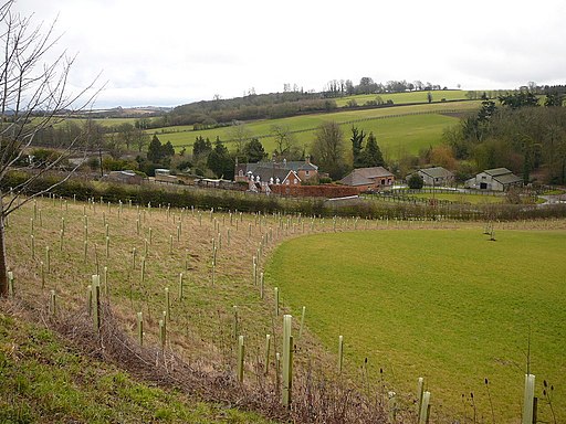 View southeast to Watership Farm - geograph.org.uk - 1728686