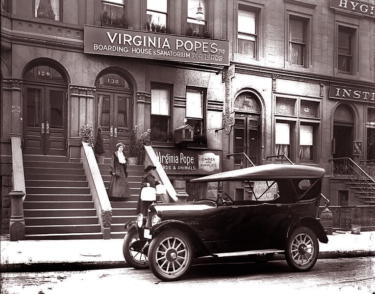 File:Virginia Pope's Bird Boarding House – 1916 (50432279691).jpg