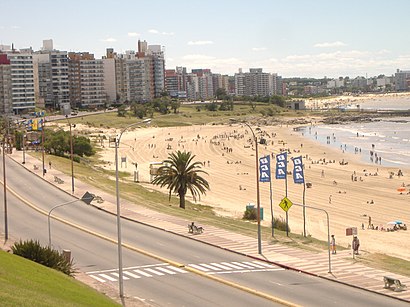 Cómo llegar a Playa del Buceo en transporte público - Sobre el lugar