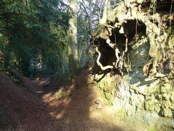 An eroded sunken lane on the Greensand Ridge