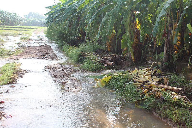 File:Water flow after heavy rains.jpg