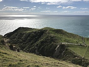 Wharariki Ecosanctuary 366.jpg