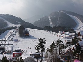 Zima 2014 Miasto kandydujące - ośrodek narciarski PyeongChang Dragon Valley.jpg