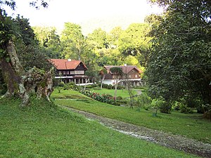 Wisma Tamu Kebon Raya Cibodas.jpg