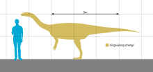 Size of Xingxiulong compared to a human Xingxiulong Scale.svg