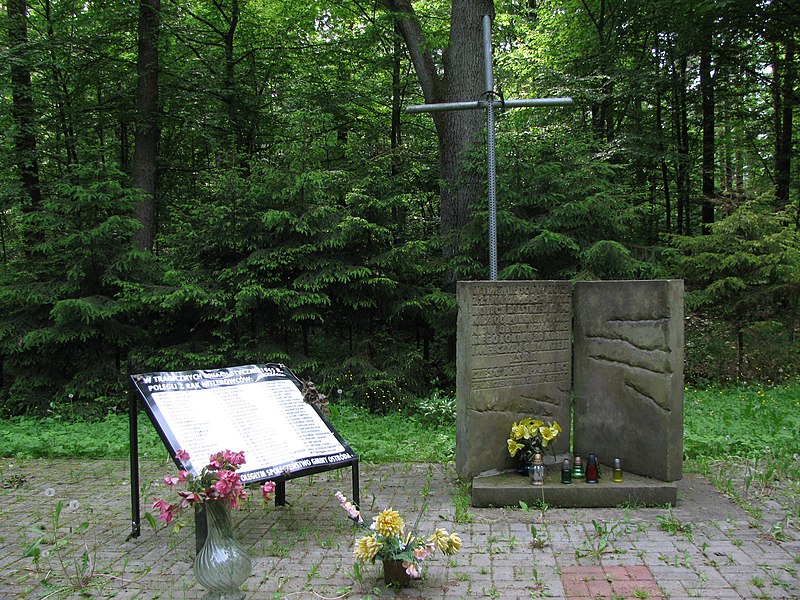 File:Zawady Małe cemetery.JPG