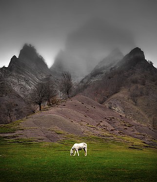 Shahdag National Park (Guba Rayon). Photograph: Rəşad İsgəndəroğlu