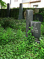 Čeština: Židovský hřbitov v Havlíčkově Brodě, kraj Vysočina. English: Jewish cemetery in the town of Havlíčkův Brod, Vysočina Region, Czech Republic.