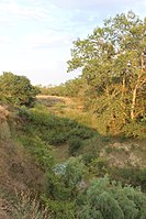 El río Gums en las cercanías del pueblo de Ilskhan-Yurt