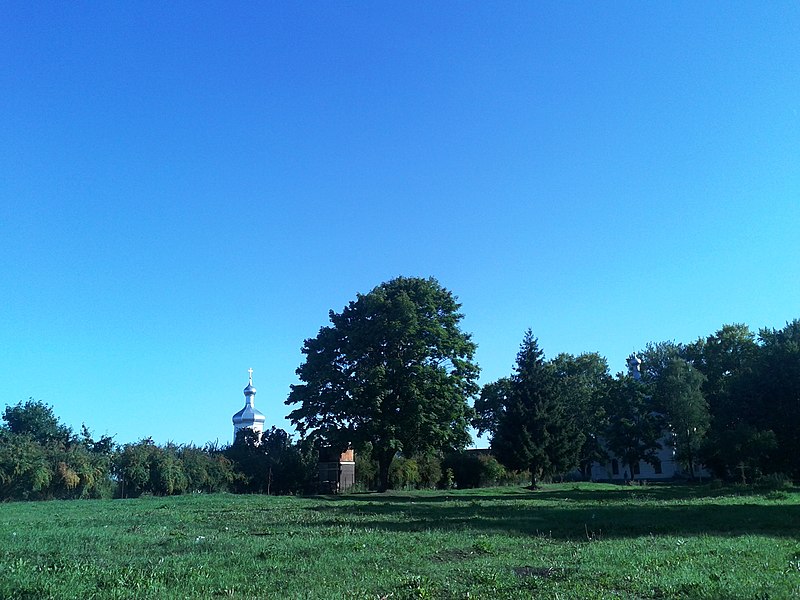 File:Юрьев монастырь. Август 2015. Кадр №2 (фотограф М.В. Гуреев).jpg