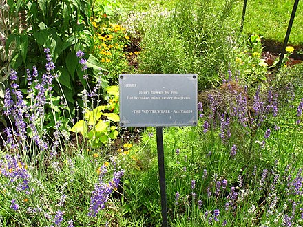 The herb garden in the Shakespearean Gardens at the Huron Street Bridge, Stratford