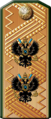 Погон классного чина «Вице-адмирал» (1884—1904 гг.).