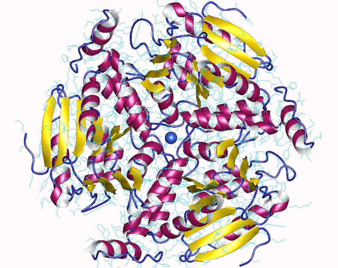 Methylmalonyl-CoA decarboxylase