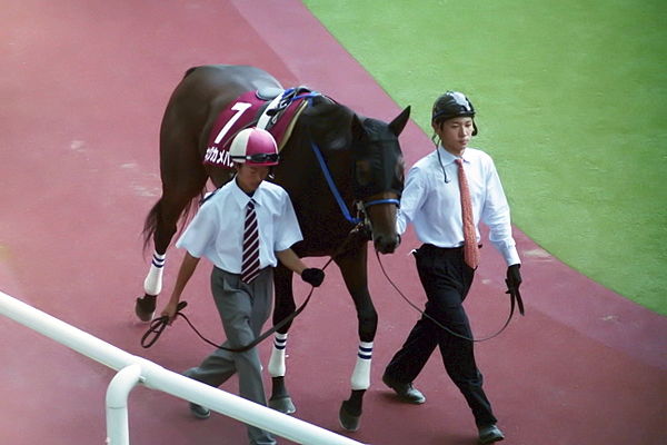 King Kamehameha before his final race at Hanshin in September 2004