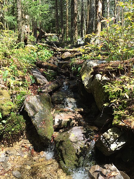 File:2017-05-16 11 22 31 A small stream along the Appalachian Trail on the southeast side of Mount Rogers, within the Lewis Fork Wilderness of Grayson County, Virginia.jpg